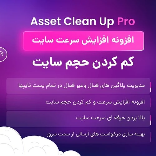 افزونه wp asset cleanup pro